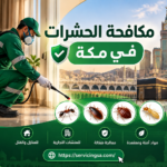 شركة مكافحة حشرات بمكة
