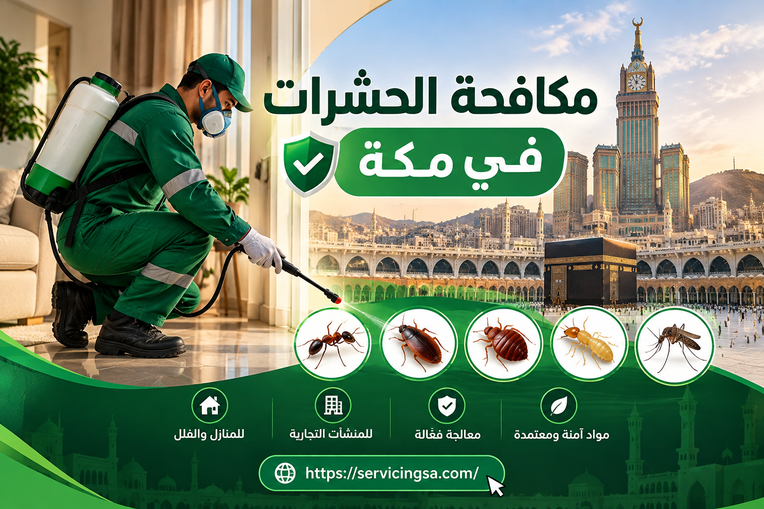 شركة مكافحة حشرات بمكة